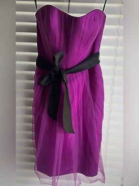 Bold & Vibrant Vera Wang Purple and Black Strapless Tulle Dress Size 8
